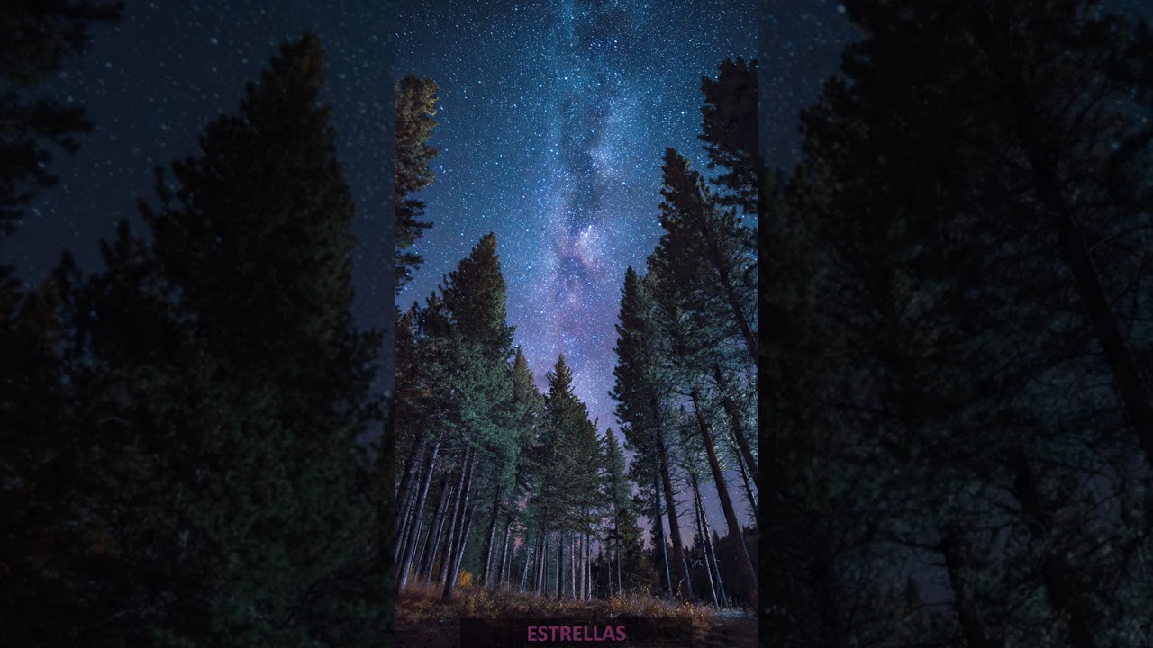 Estrellas - Aine Wolberg #music