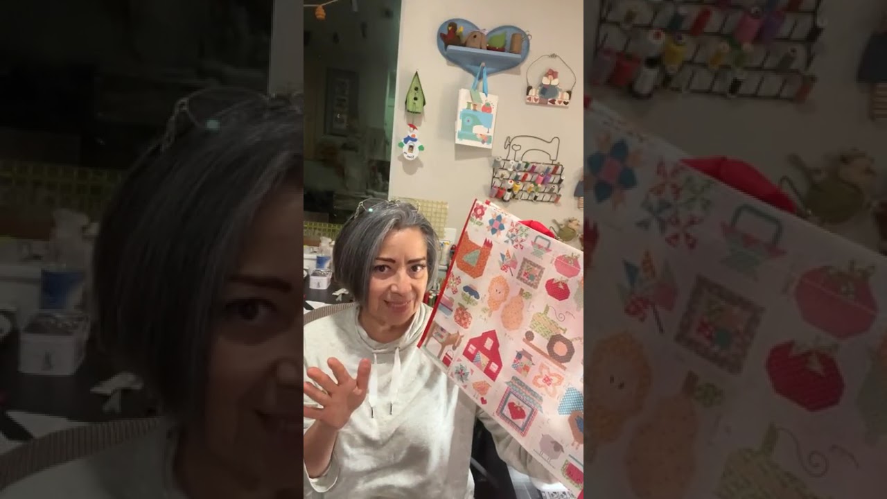 2a clase del borrego en Patchwork