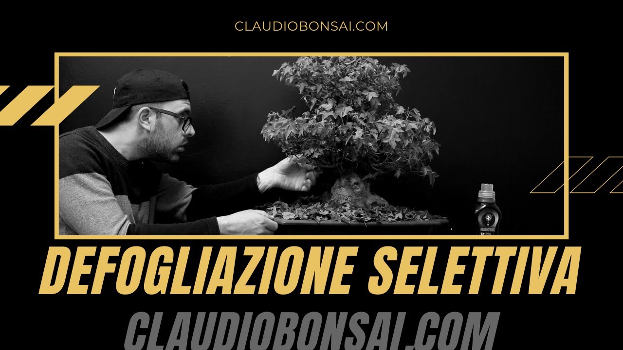 TUTORIAL AVANZATO: DEFOGLIAZIONE SELETTIVA
