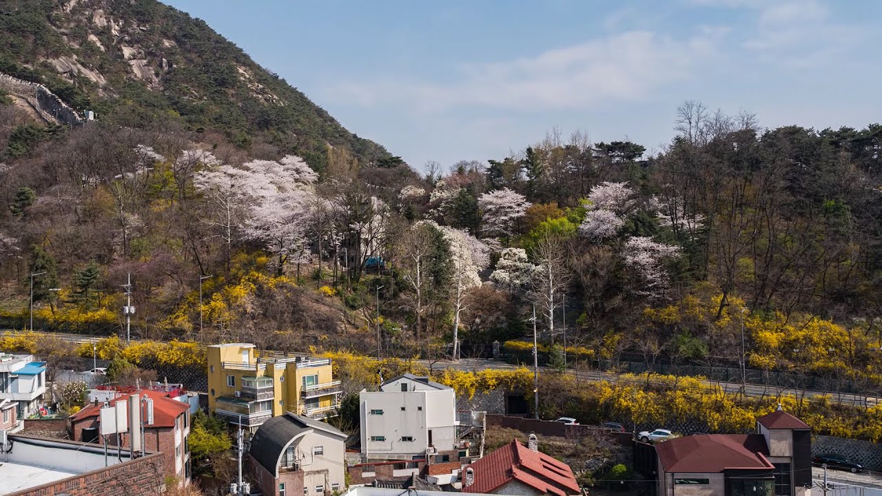 [영상 ASMR] 서울 부암동의 사계절 타임랩스 Four Seasons Seoul Timelapse