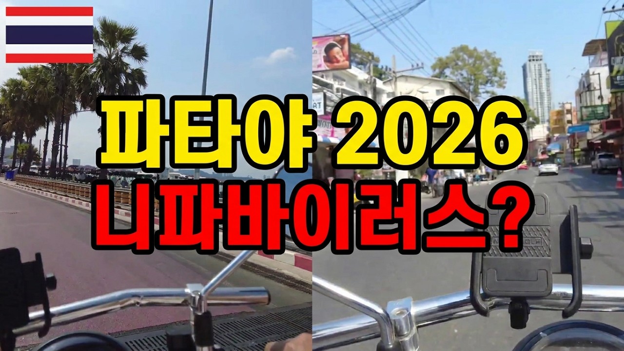 🇹🇭 피티야 시티 투어 파타야 동탄 좀티엔비치  ㅣ 인디아 니파바이러스 파타야 정말 괜찮을까? ㅣ