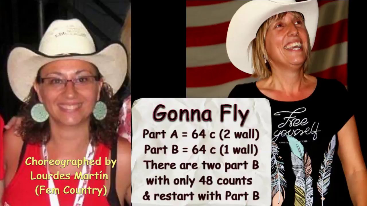 Gonna Fly