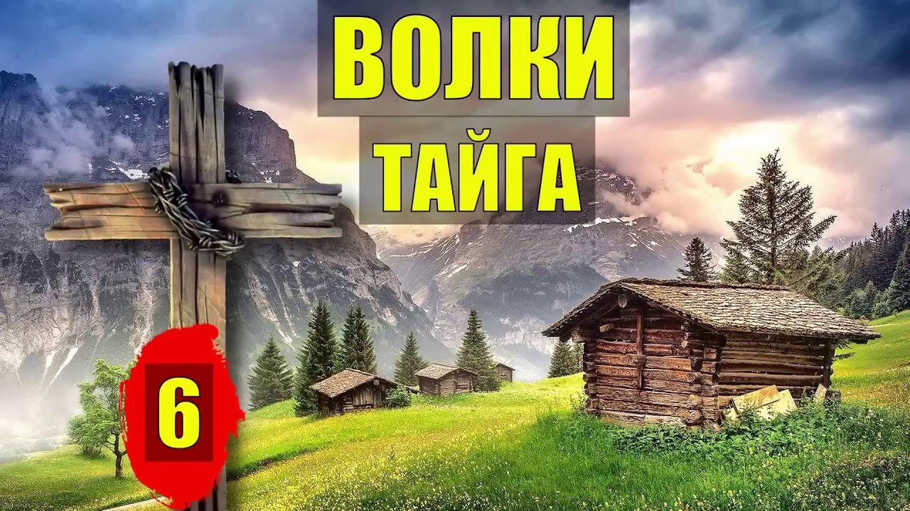 ИСТОРИИ из ЖИЗНИ РАССКАЗЫ ЛЕСНИКА ЖИЗНЬ МЕДВЕДИ ВОЛКИ в ЛЕСУ СЕРИАЛ ВСЕ СЕРИИ