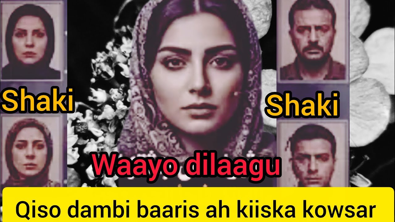 Qiso dambi baaris ah kiiska kowsar ....@hafsabilanchannel