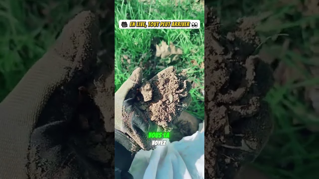 BEST OF LIVE #1 Merci à ceux qui étaient là en direct 🔴#detectionmetaux #metaldetecting #live