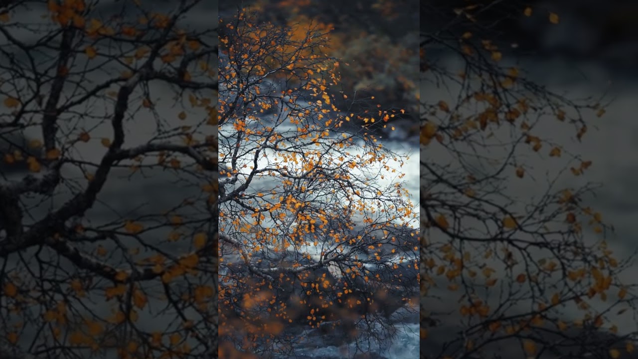 Alan Watts | Tao of Philosophy | Man in Nature (excerpt)