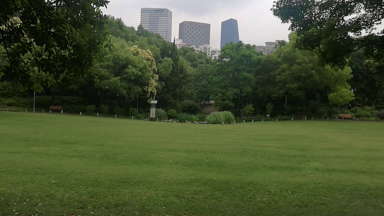 How Mainlanders Think About Chinese Hongkongese