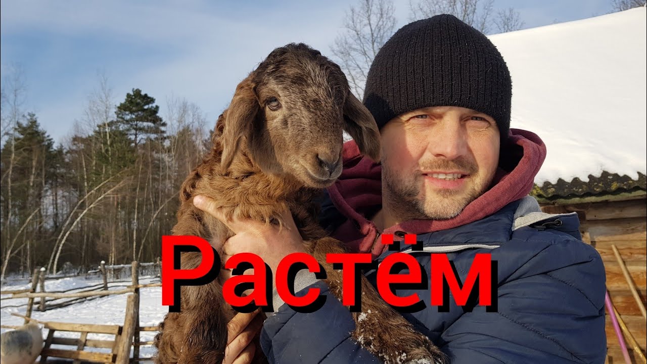 Распаковали посылку и захотели запатентовать название и бренд