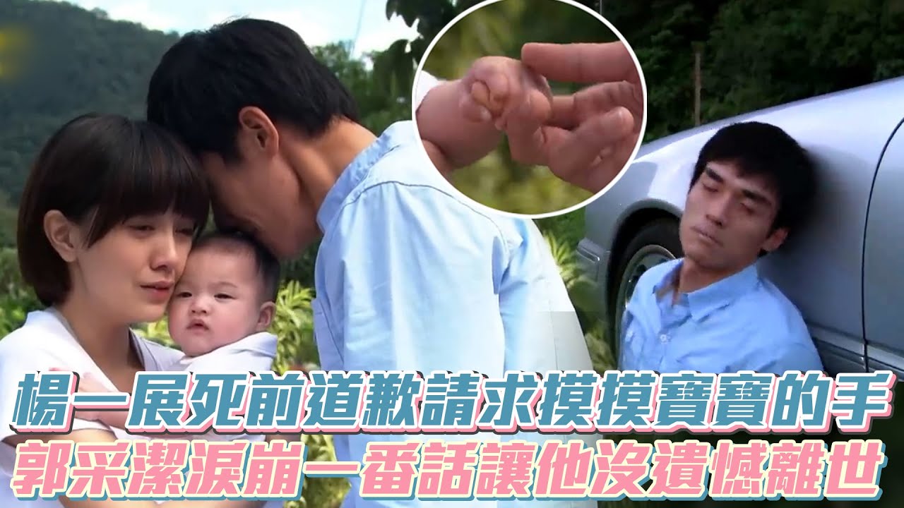【那一年的幸福時光】楊一展死前道歉請求摸摸寶寶的手 郭采潔淚崩一番話讓他沒遺憾離世│ Vidol