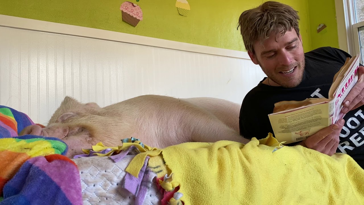 Chapter 6: Esther the Wonder Pig, Changing the World One Heart at a Time.