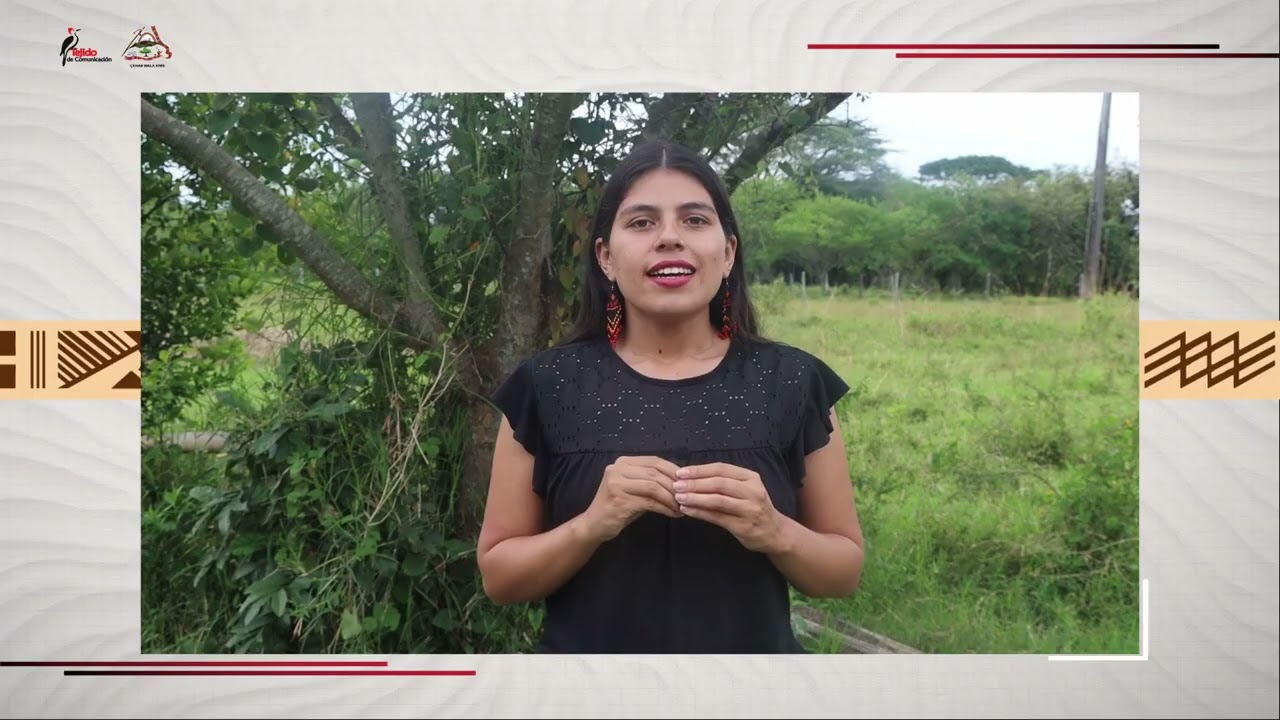 Informativo Kweta Susuza - Noviembre 15 del 2025