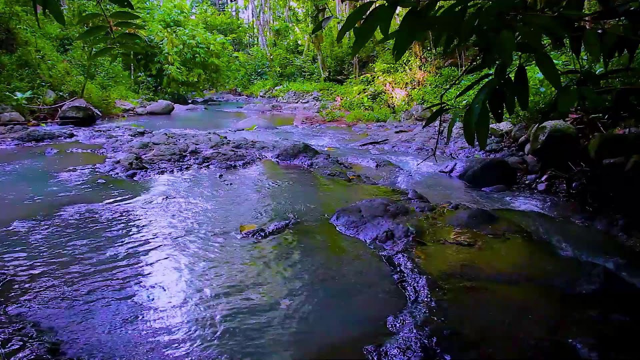 Mountain River Night Ambience | White Noise for Better Sleep