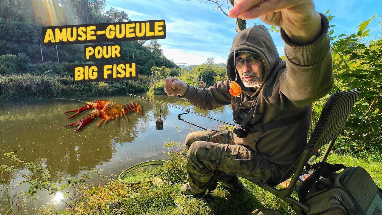 Treating the Fish to an Aperitif &ndash; Incredible Reaction!
