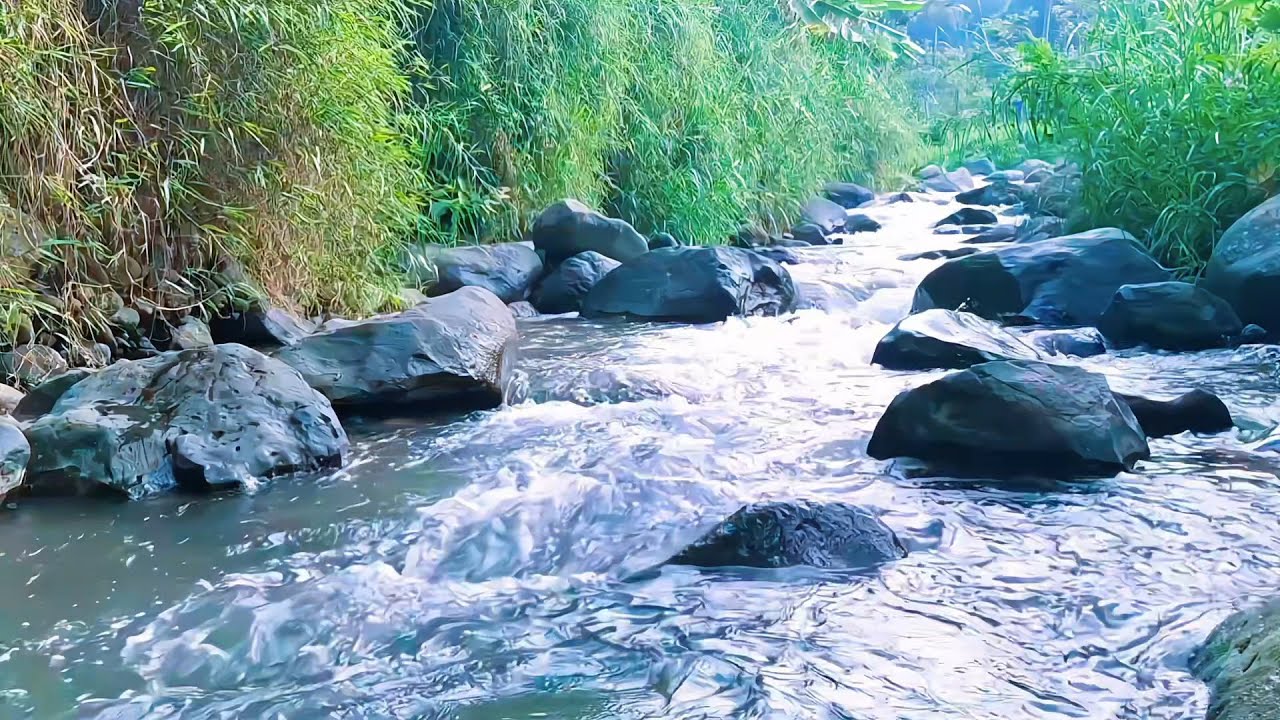 Gentle River Ambience for Inner Stillness
