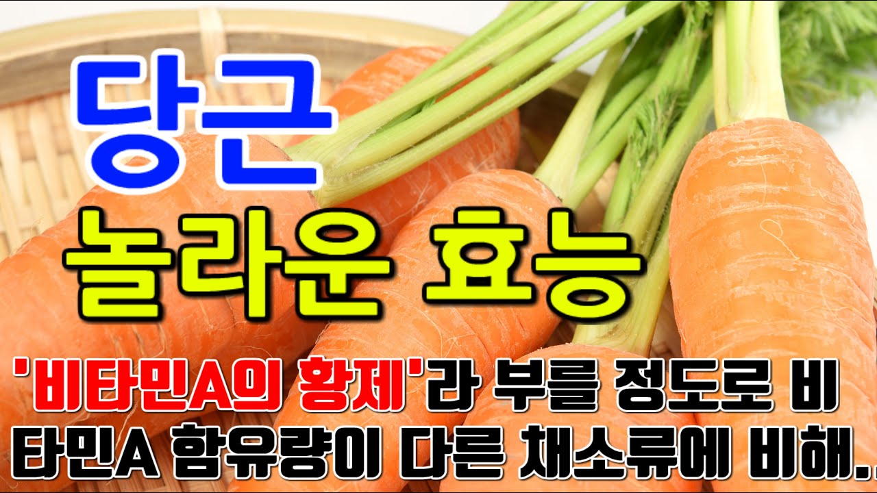 당근의 놀라운 효능 9가지 & 부작용 / 