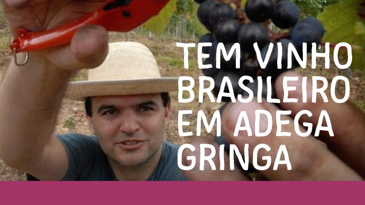10 vinhos brasileiros que comprovam a nossa qualidade.