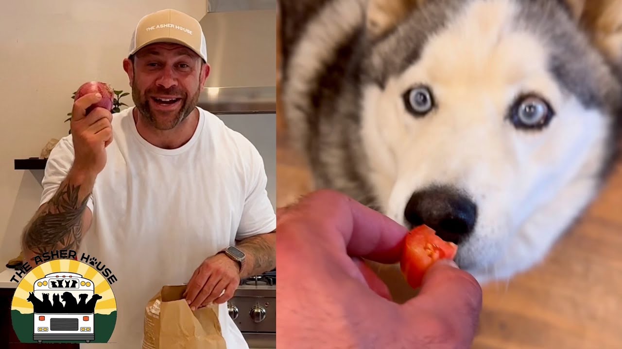 The pups helped me chef up a birthday treat!