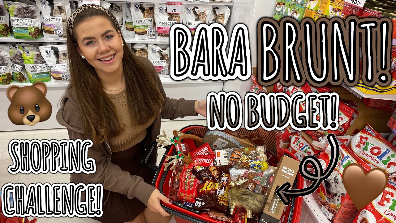 NO BUDGET *BARA BRUN* SHOPPING CHALLENGE!🤎🐻
