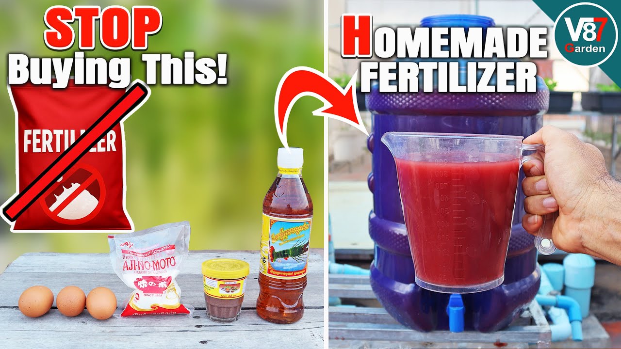 How to Make a Bigger Batch of PSB Fertilizer | Easy Photosynthetic Bacteria for Plant Growth