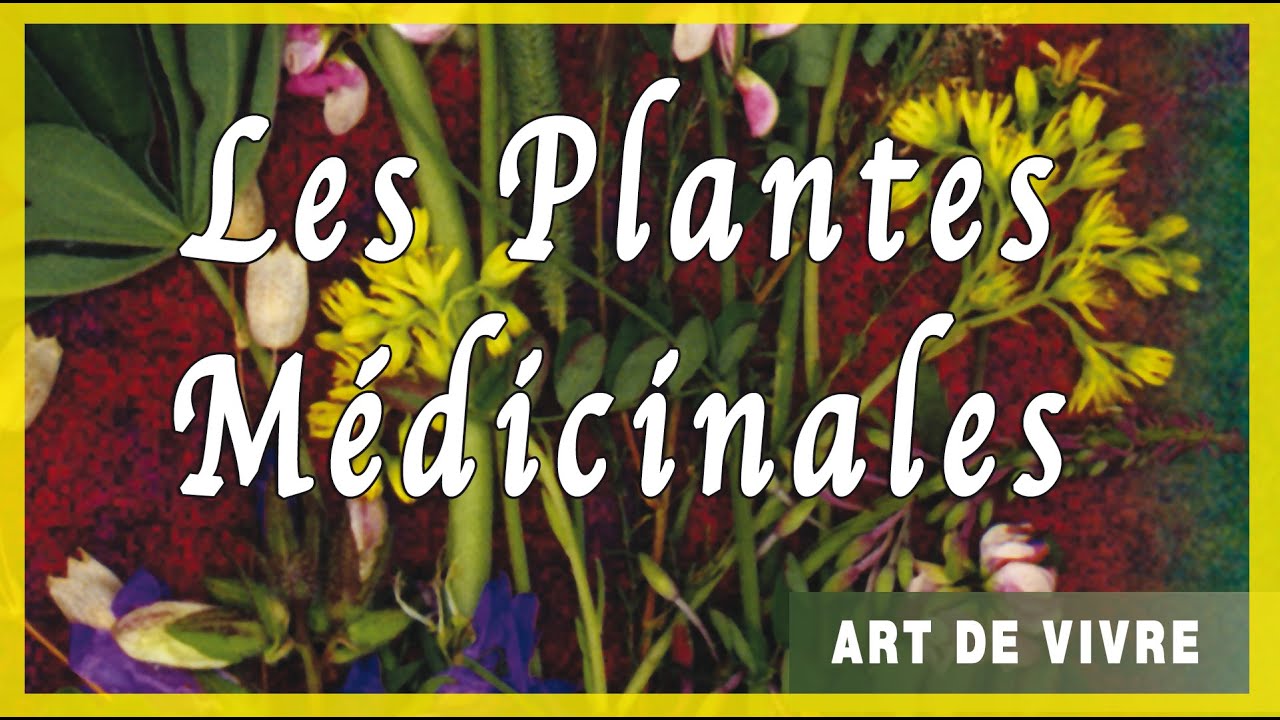 Les plantes médicinales : sommeil, stress, allergies, médecine douce, santé, art de vivre... ADV1