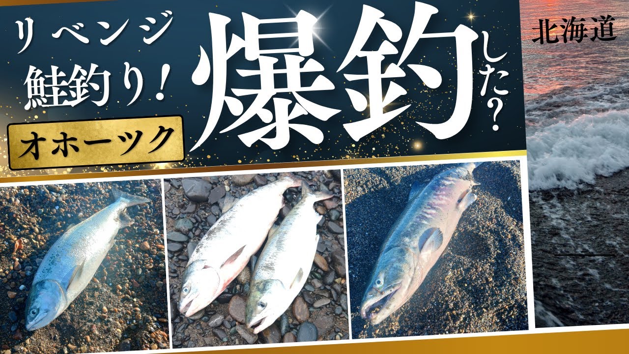 [北海道][釣り]強烈ファイト堪らない！オホーツク銀ピカサーモン✴️リベンジとまでは…#鮭釣り #ウキルアー#オホーツク