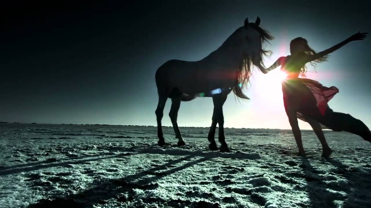 ALEX Q & OLIVER SCHORIES - STARS