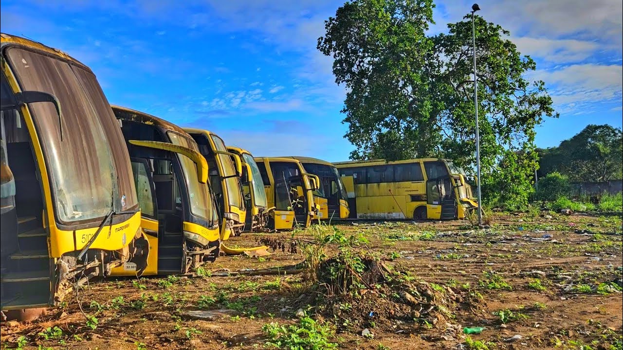 TRISTE FIM DA ITAPEMIRIM: ENCONTREI VEÍCULOS ABANDONADOS EM FEIRA DE SANTANA!