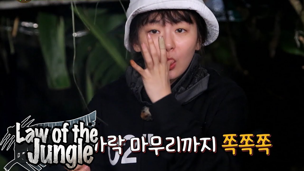Seul Gi is The Only Peaceful One As Always! [Law of the Jungle Ep 322]