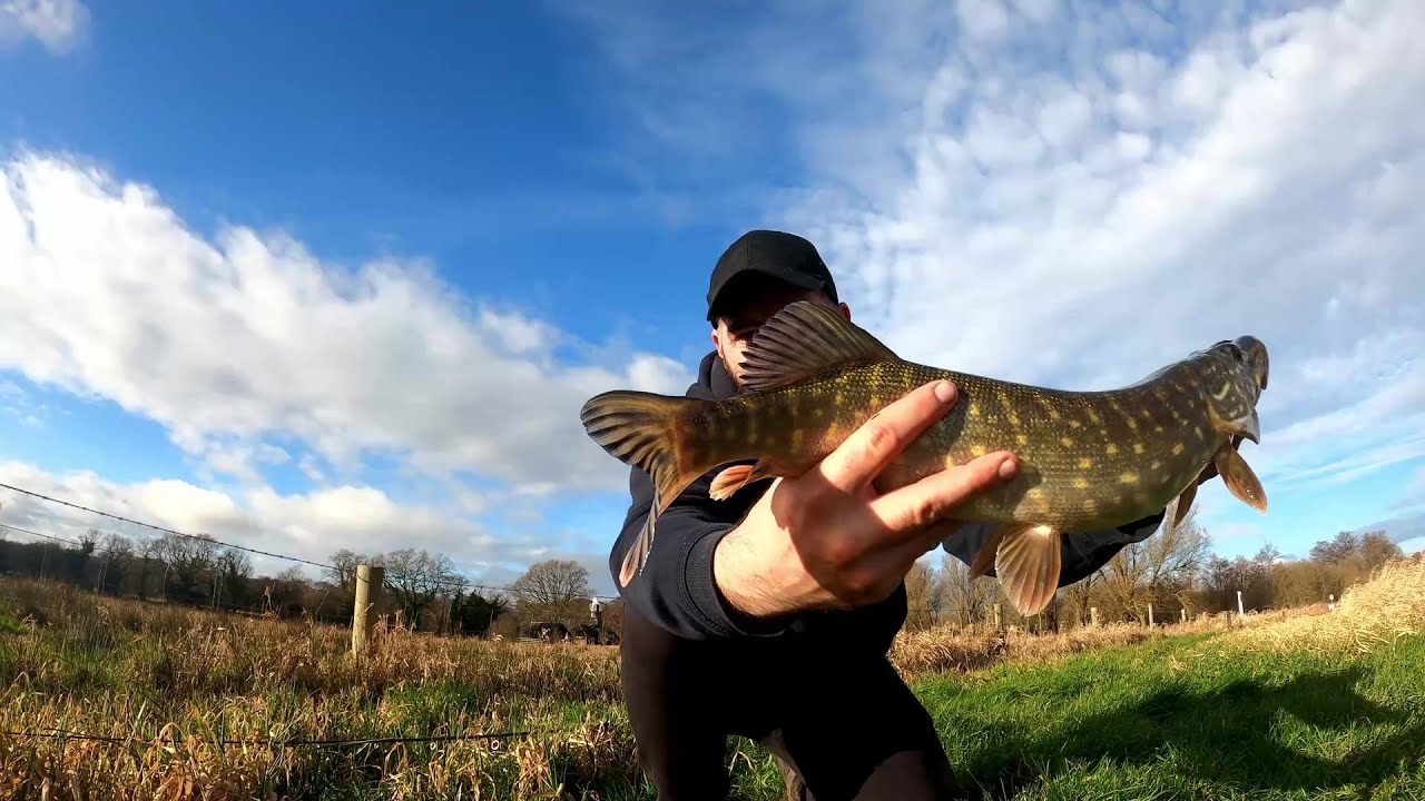 UK PIKE FISHING