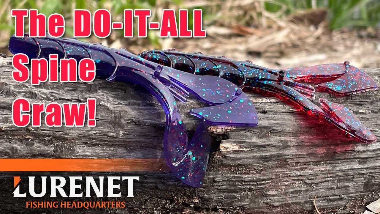 YUM Spine Craw - The Do-It-All Craw Profile (New Color Release)