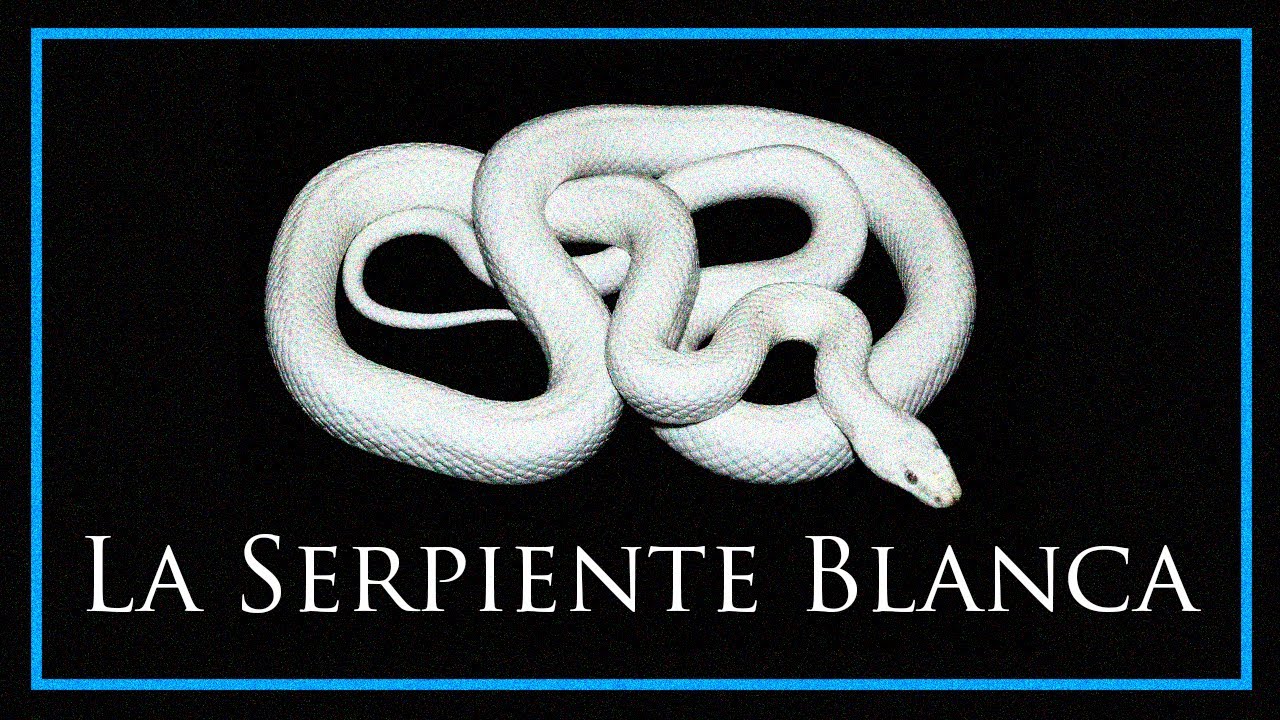 La Serpiente Blanca - Hermanos Grimm.
