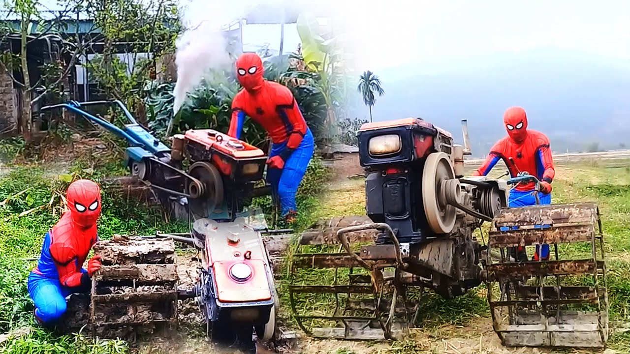 Spider-Man Plows the Field After a Stormy Night |  असल जिंदगी में स्पाइडर मैन/ Người Nhện/VTQN