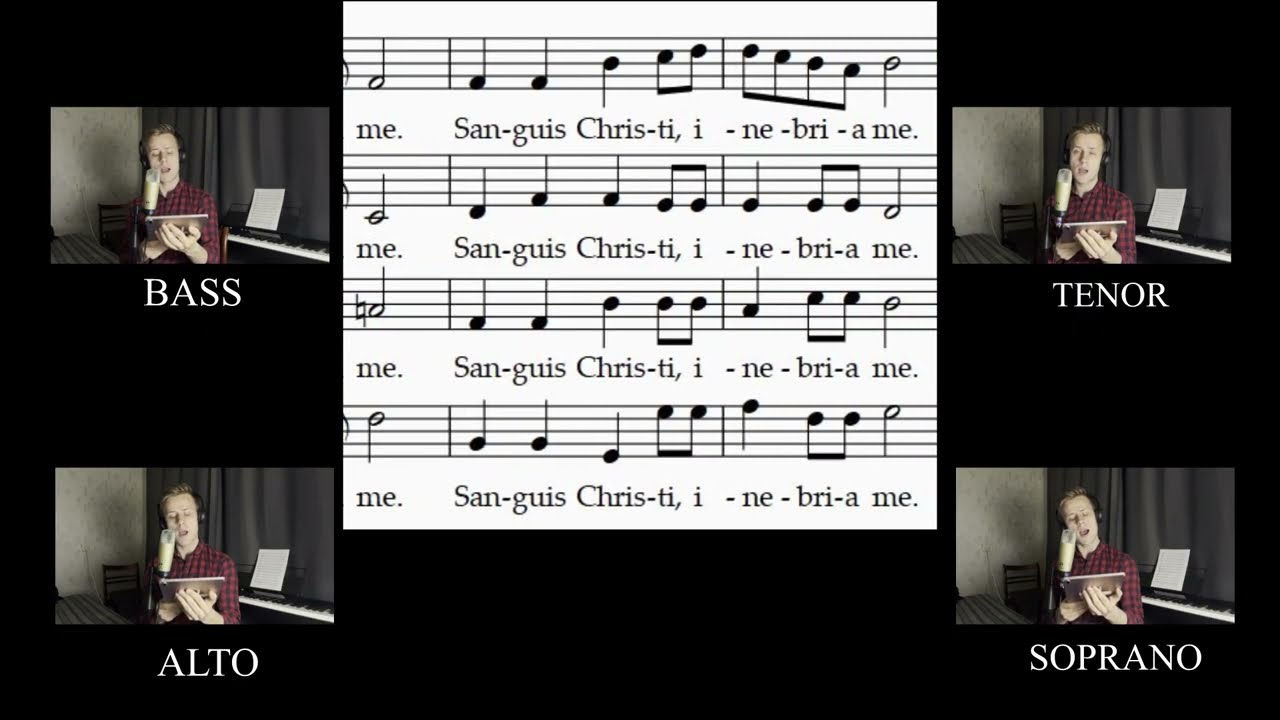 ANIMA CHRISTI
