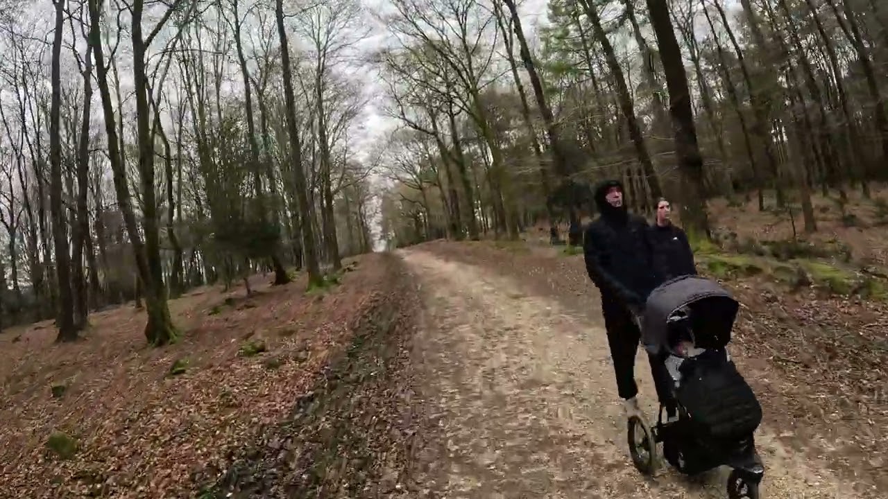 New Forest Gravel Cycling 070424 Part 2: Coppice of Linwood