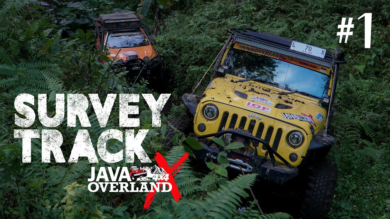 SURVEY JOX 2022 - EPS 1
