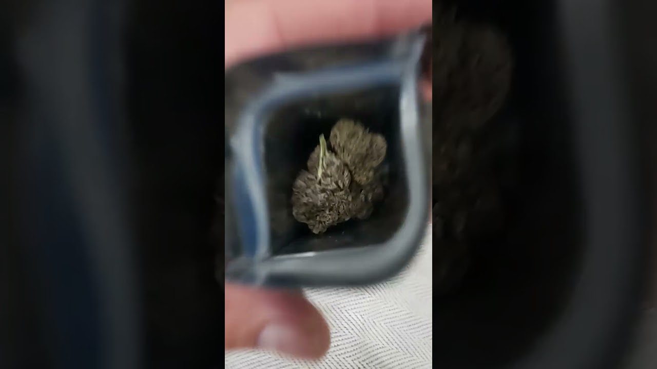 Oochie Guala Guala (THE HYDRO BOYS)