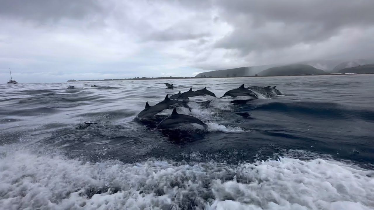 25/26 Napali Coast Kauai Off-Season “What You Could Expect”