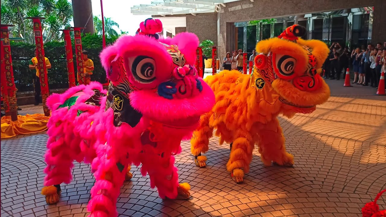 Beautiful Lion Dance 2025