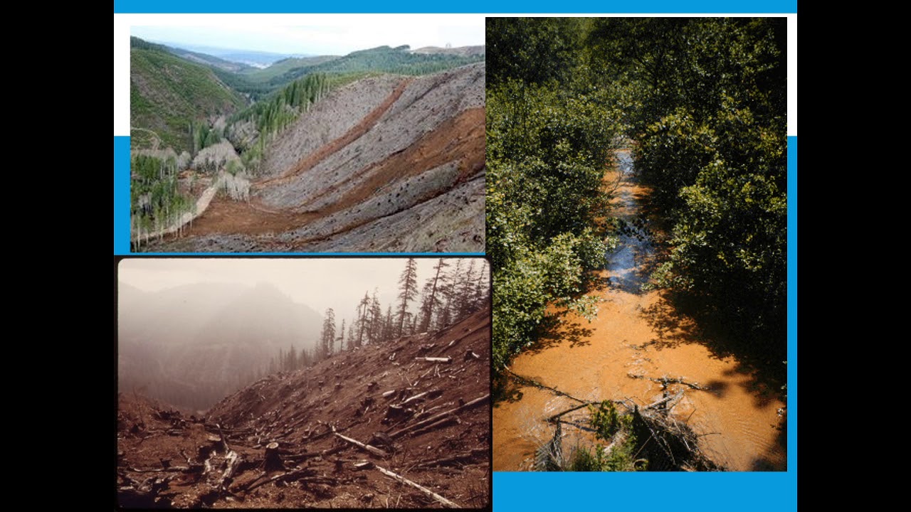 APES Unit 5.2: Clear-Cutting