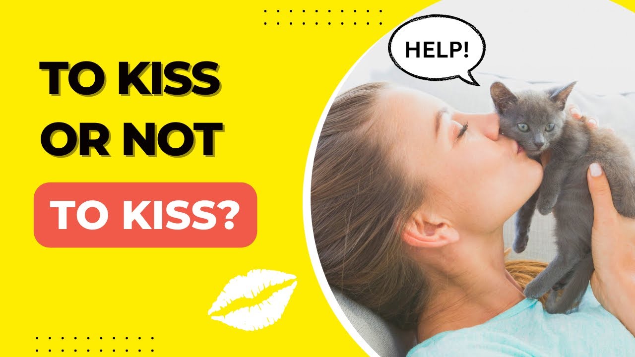 Meows and Kisses: Do Cats Like When We Kiss Them?