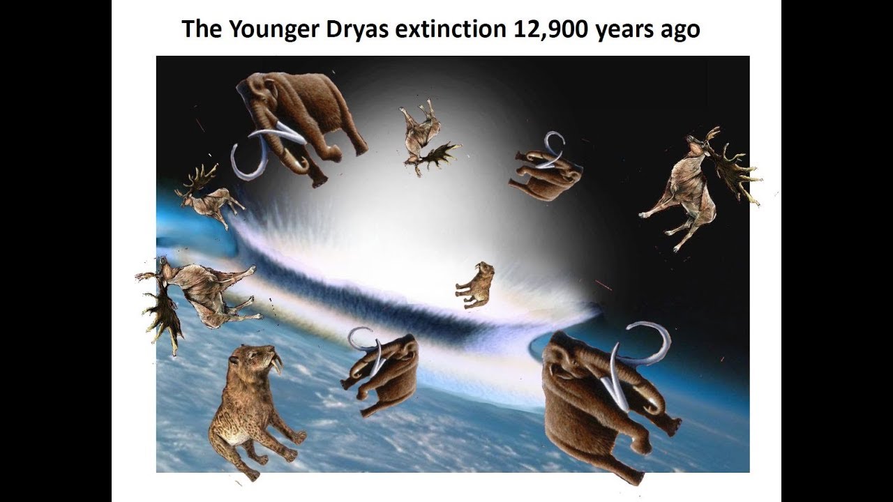 Megafauna Extinction 12,900 years ago