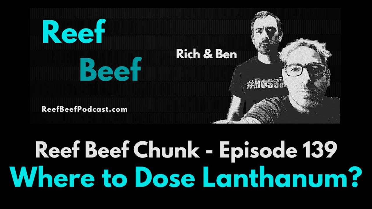 Where to Dose Lanthanum? - Reef Beef Chunks