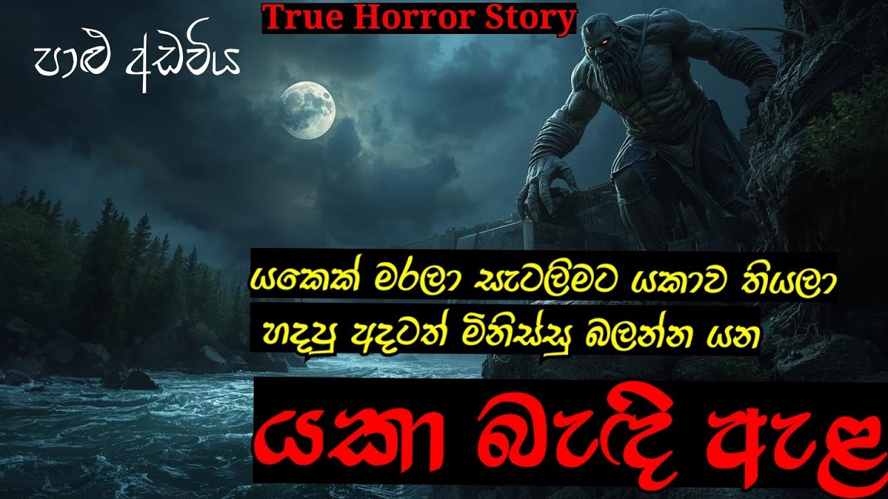 යකෙක්ව සැටලිමට තියලා හදපු ඇළ වේල්ල| යකා බැඳි ඇළ ||සත්‍ය හොල්මන් කතාවකි|true horror story @පාළුඅඩවිය 