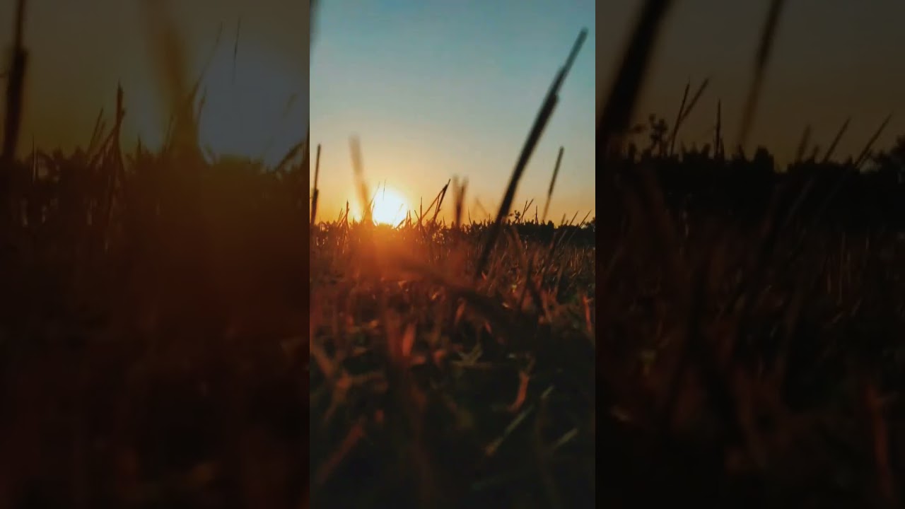 Sunset View ☺️ || On The Field 😍💯 || Phone Camera 📸 ||