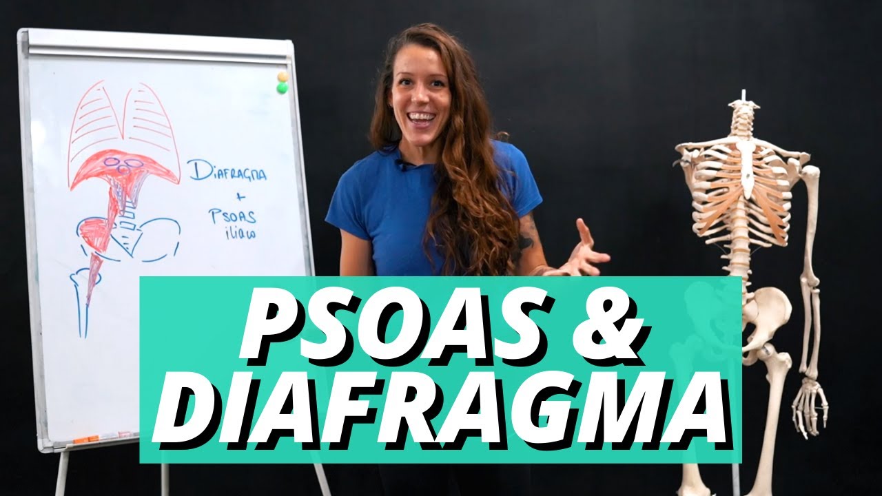 PSOAS Y DIAFRAGMA + ANATOMÍA, BIOMECÁNICA, LESIONES Y DISFUNCIONES | FISIOTERAPIA PARA CROSSFIT