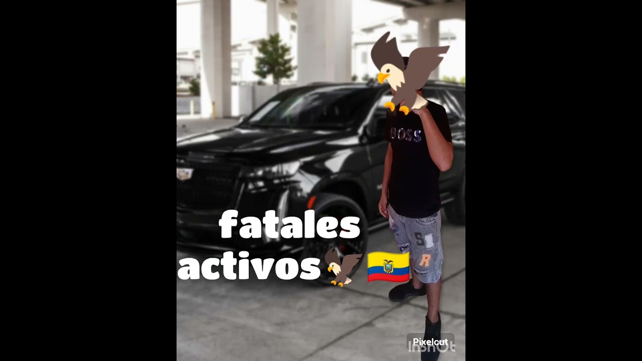 fatales activos (artista an&oacute;nimo) #rap #callejero #losfatalesactivos