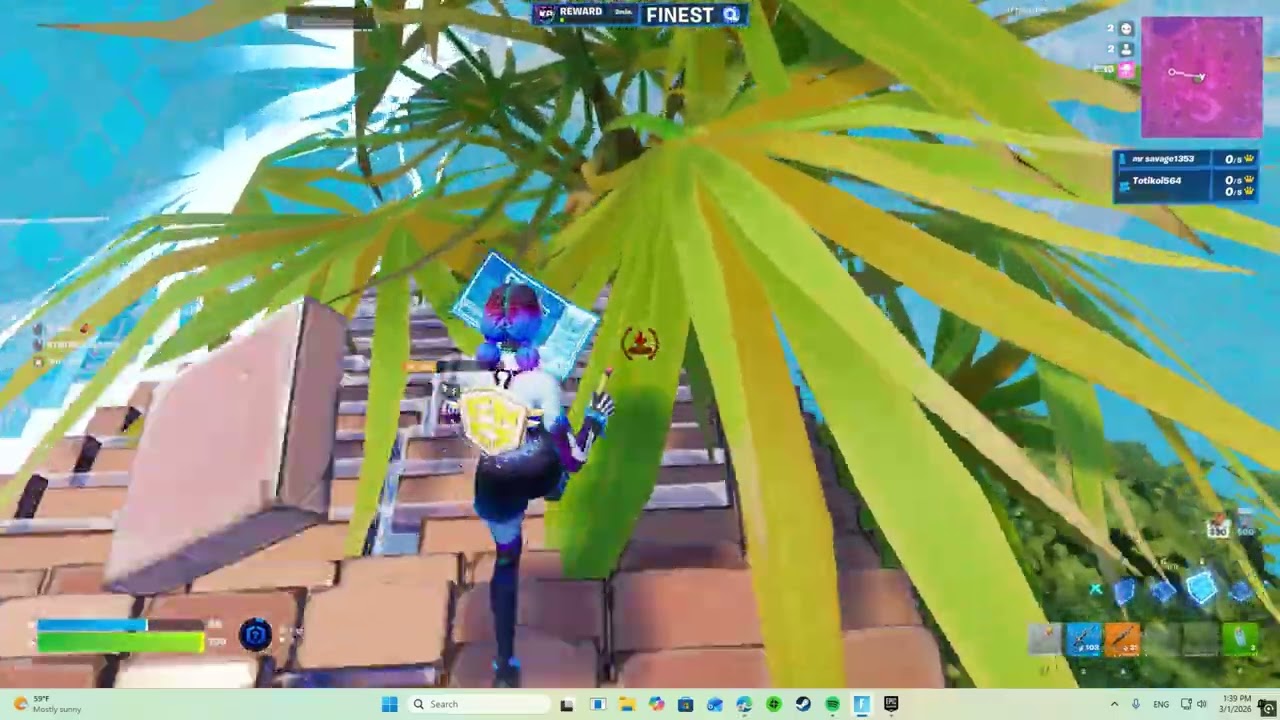 fapa apo ton tsela fortnite