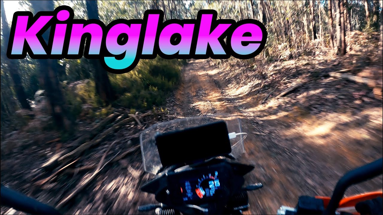 Looking For Tracks In Kinglake