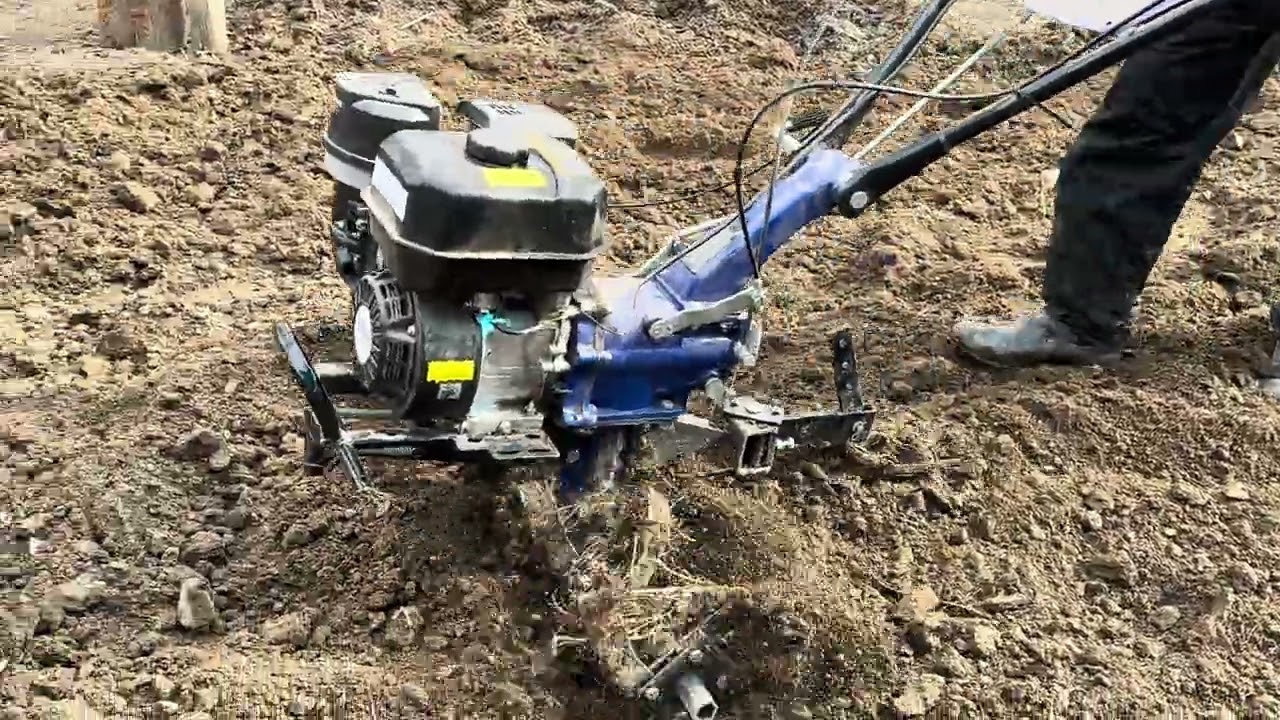 Жазгы жумуштар башталды буюрса