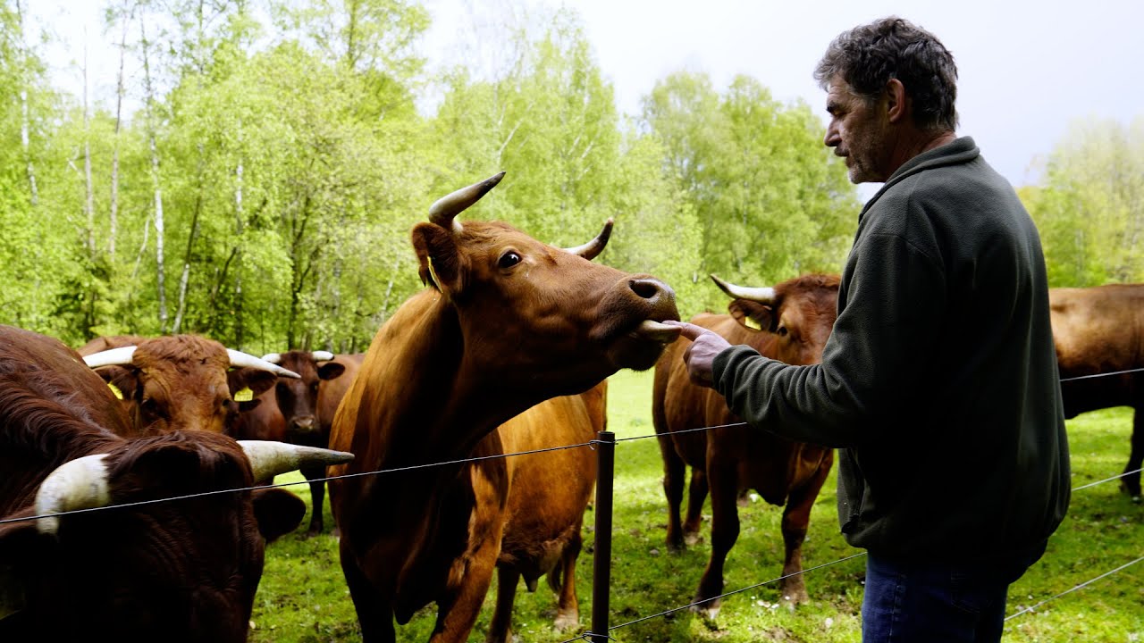 Echt.Oberpfalz: Das Lebenswerk des Tännesbergers Toni Wolf